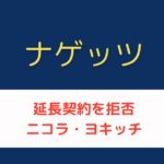 ナゲッツ